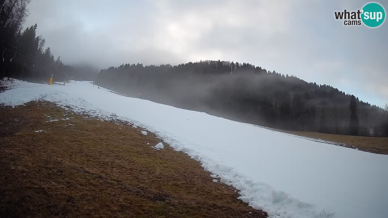 RTC Skigebiet Kranjska Gora | Brsnina