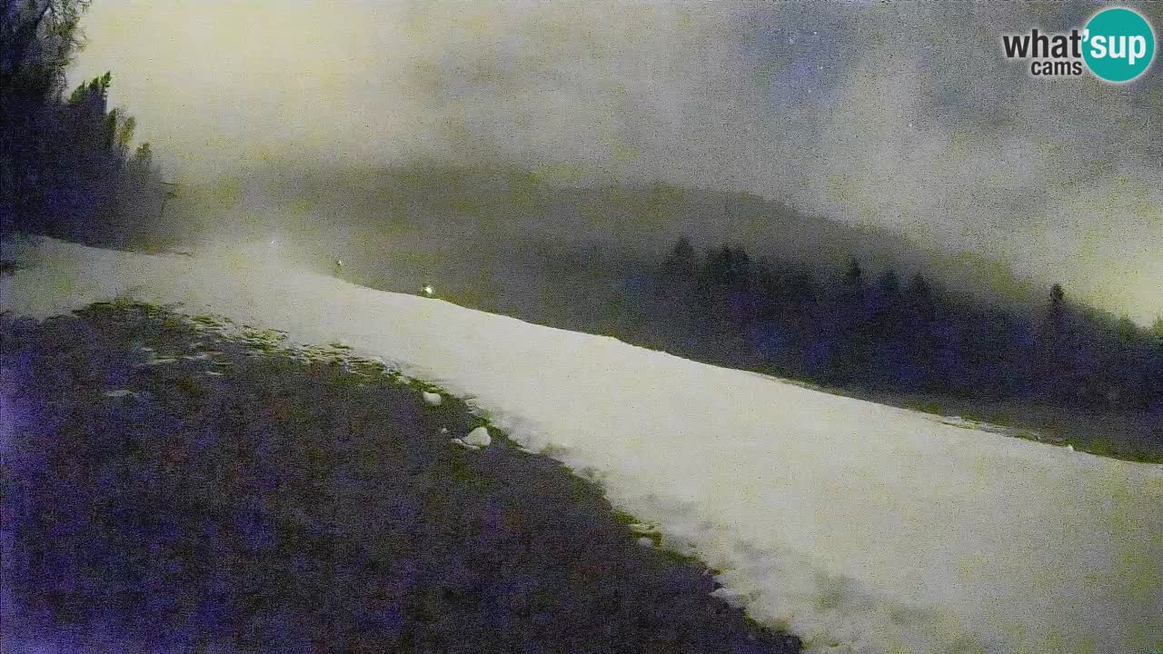 Kranjska Gora Station de ski | Brsnina