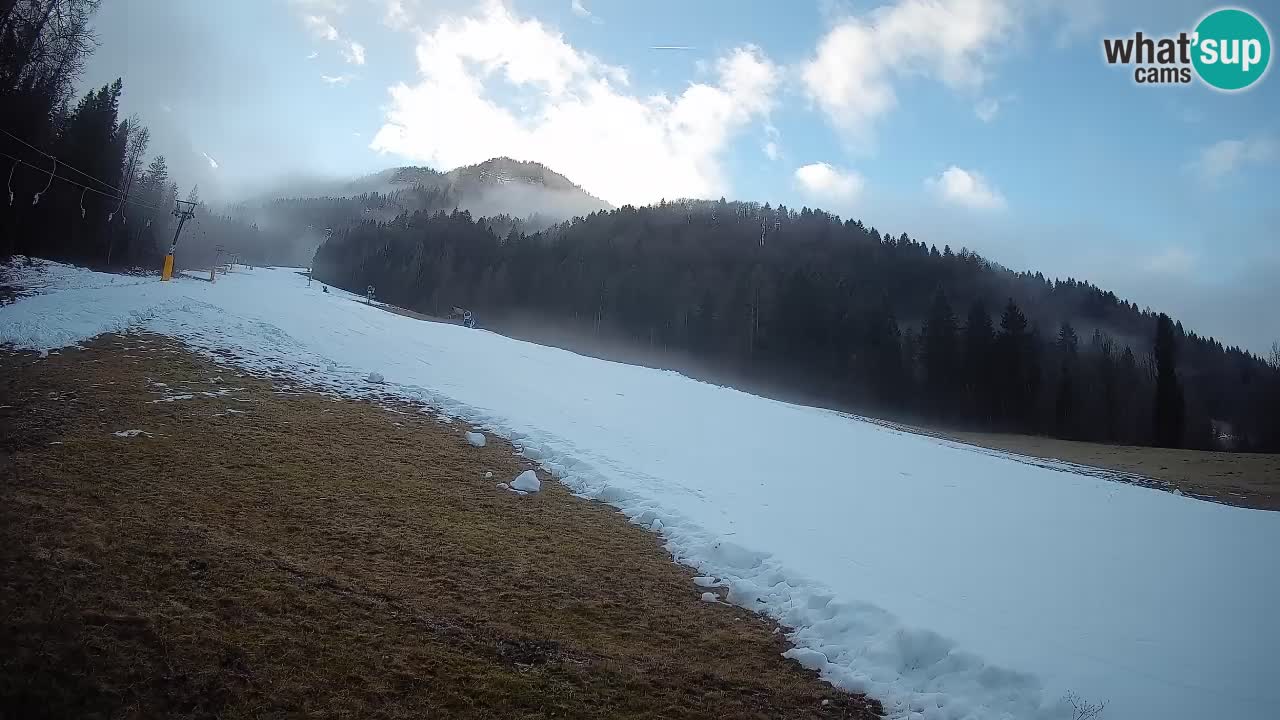 Esquí Kranjska Gora | Brsnina