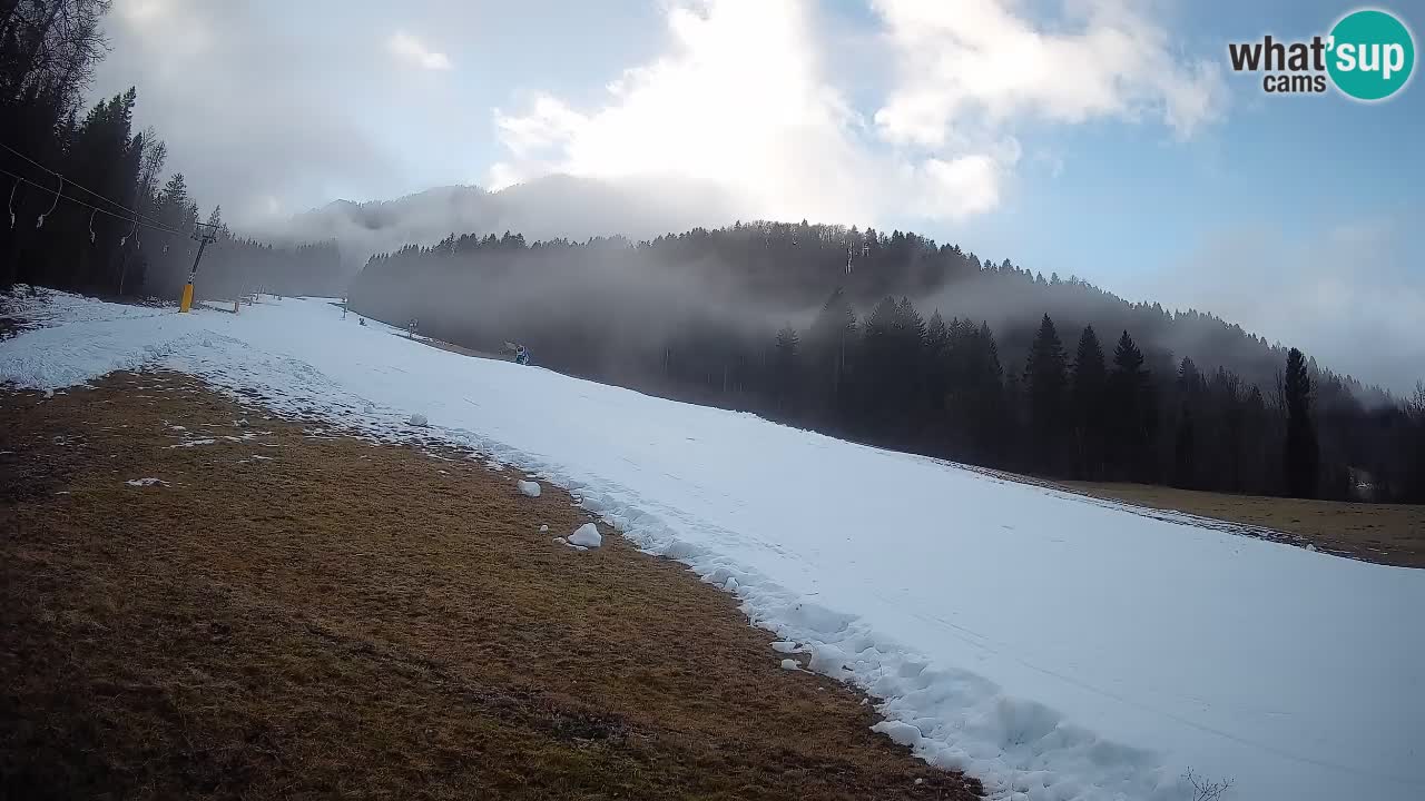 Comprensorio sciistico Kranjska Gora | Brsnina