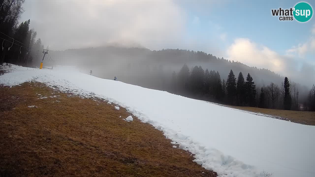 Kranjska Gora Station de ski | Brsnina