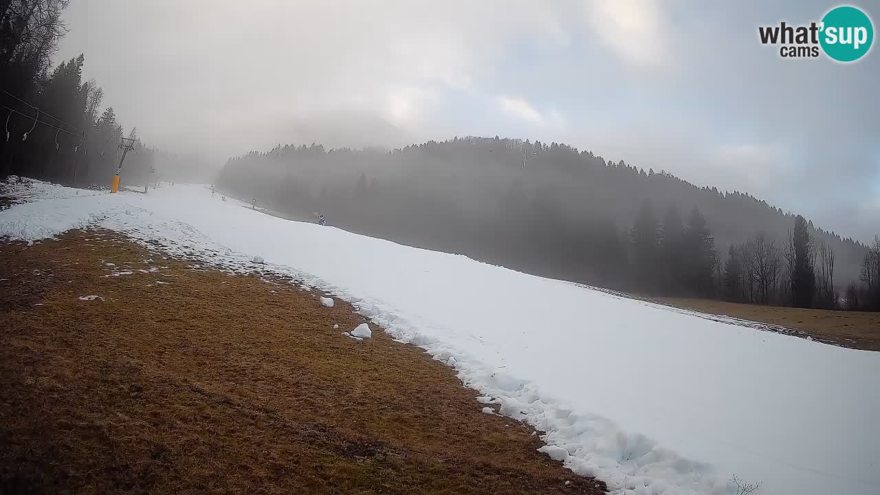Esquí Kranjska Gora | Brsnina