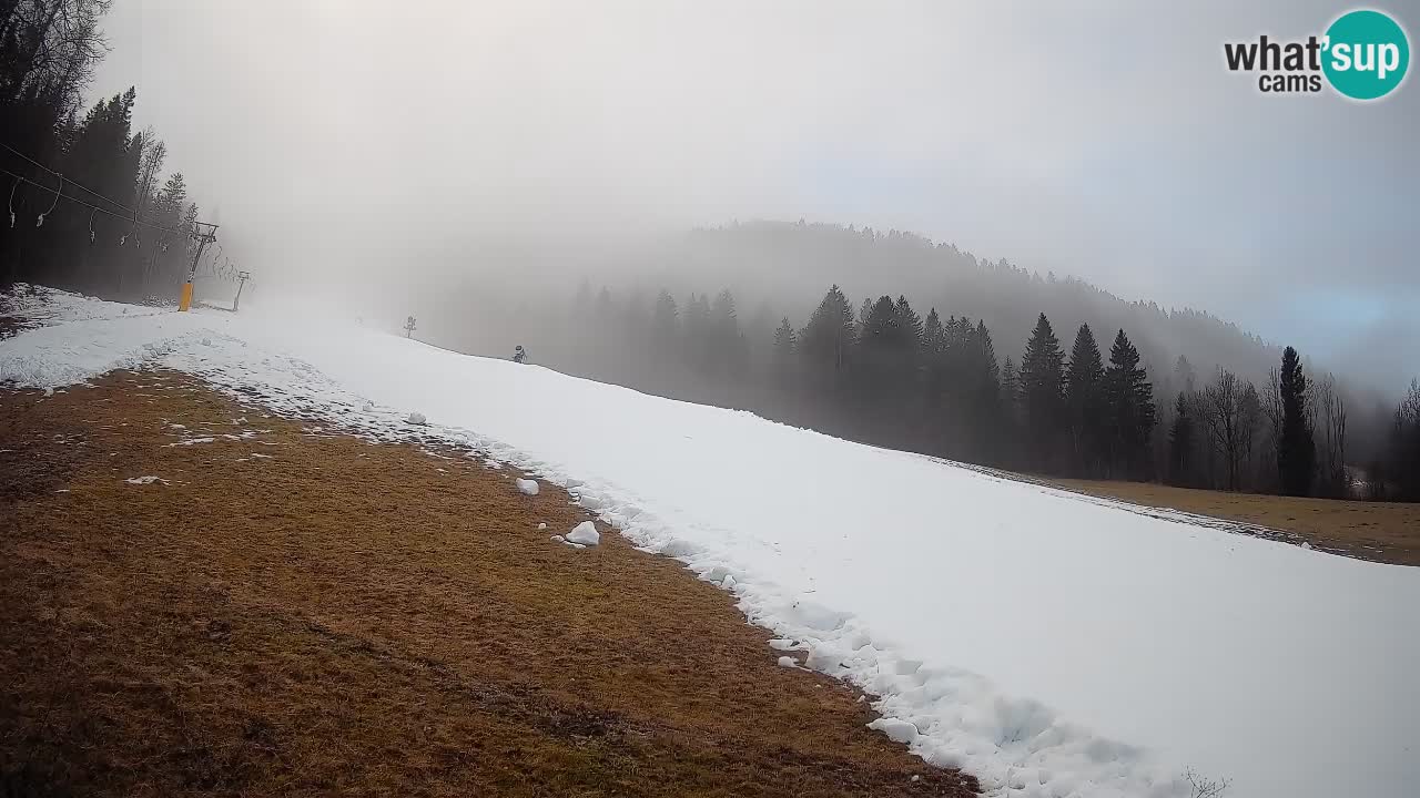 Esquí Kranjska Gora | Brsnina