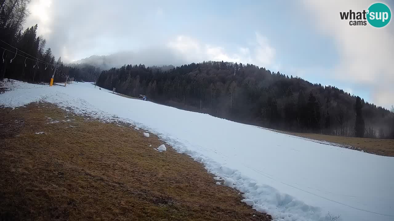 RTC Skigebiet Kranjska Gora | Brsnina