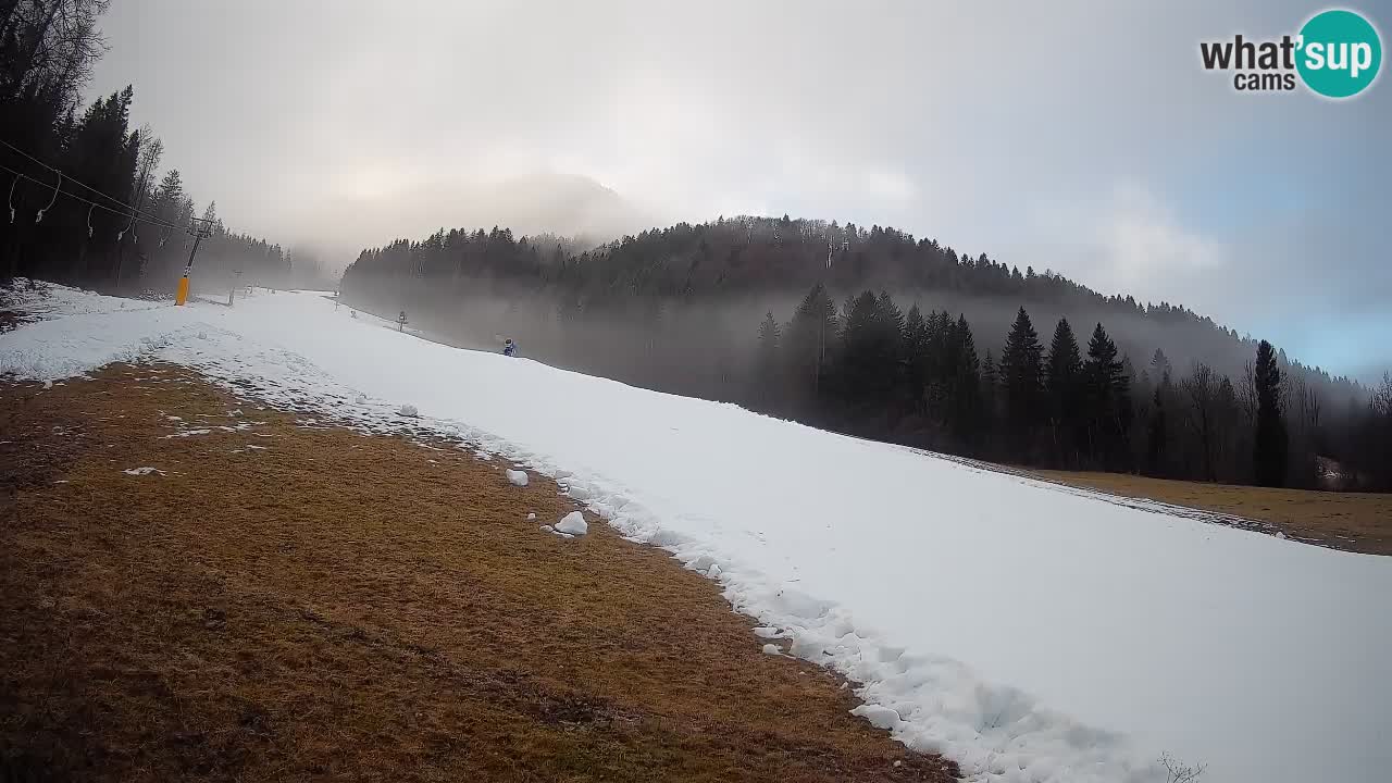 Kranjska Gora Station de ski | Brsnina