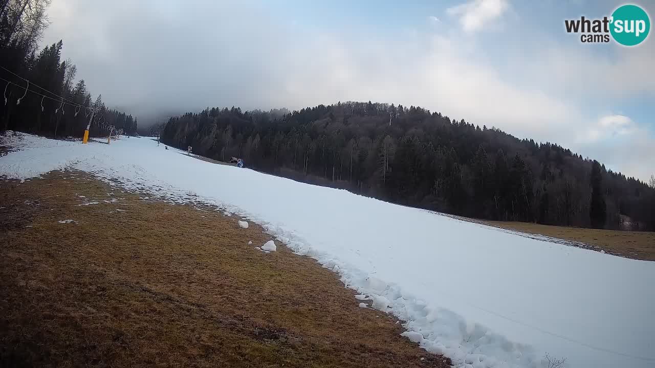 RTC Skigebiet Kranjska Gora | Brsnina