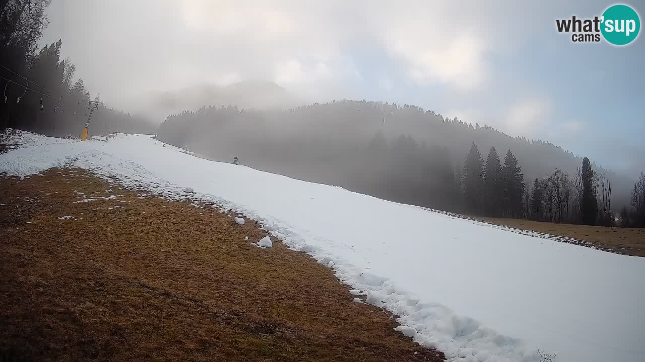 Esquí Kranjska Gora | Brsnina