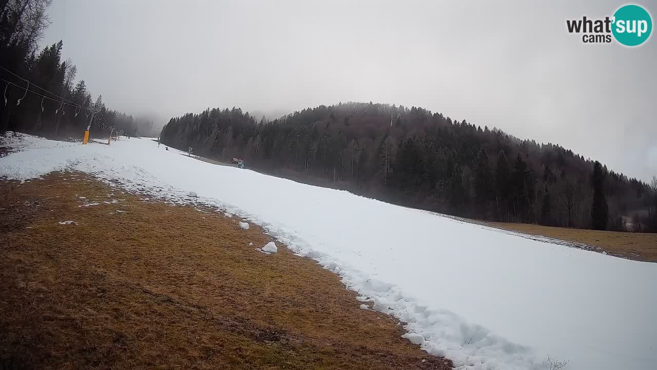 Esquí Kranjska Gora | Brsnina