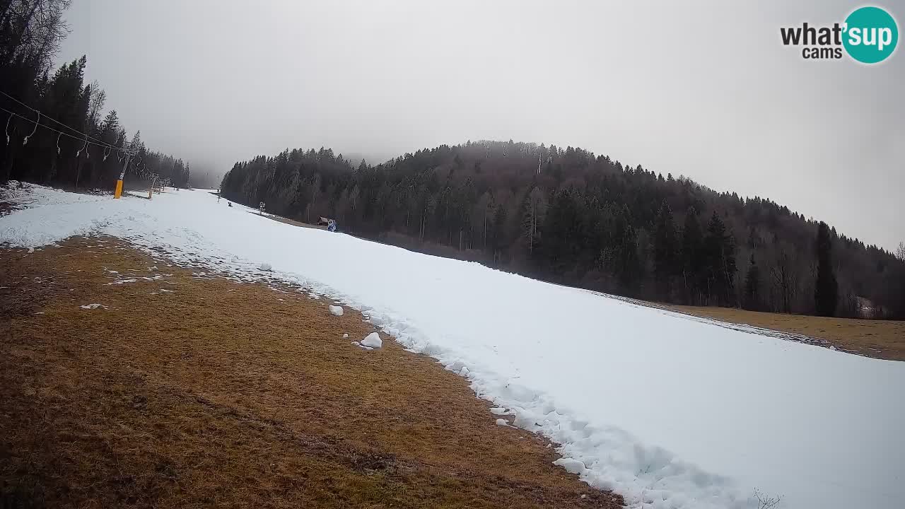 Ski Kranjska Gora | Brsnina