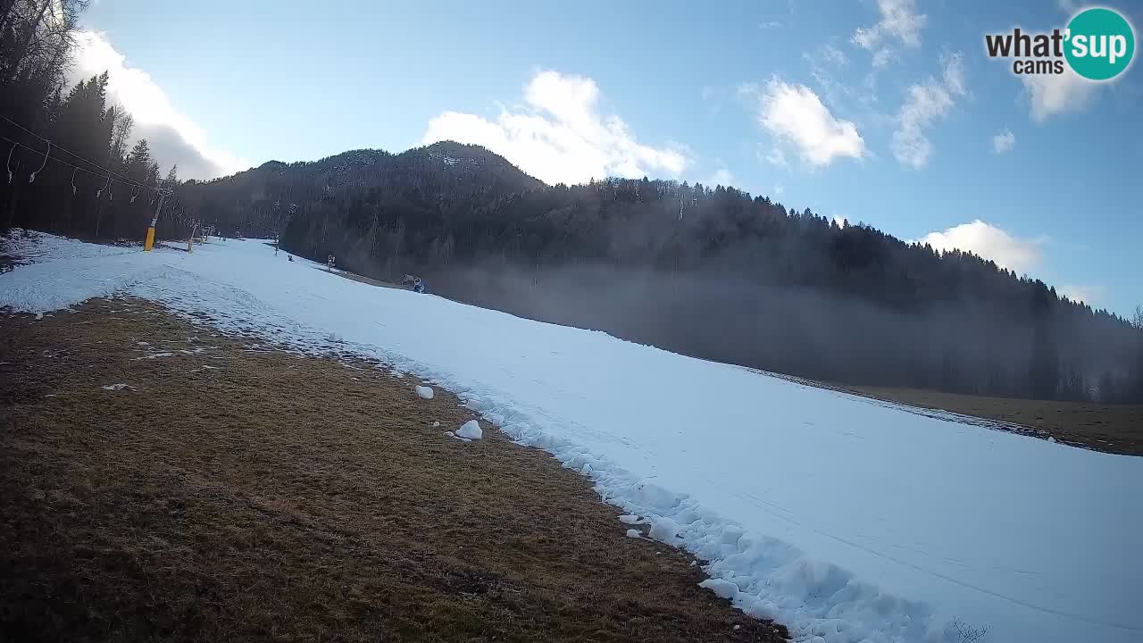 RTC Skigebiet Kranjska Gora | Brsnina