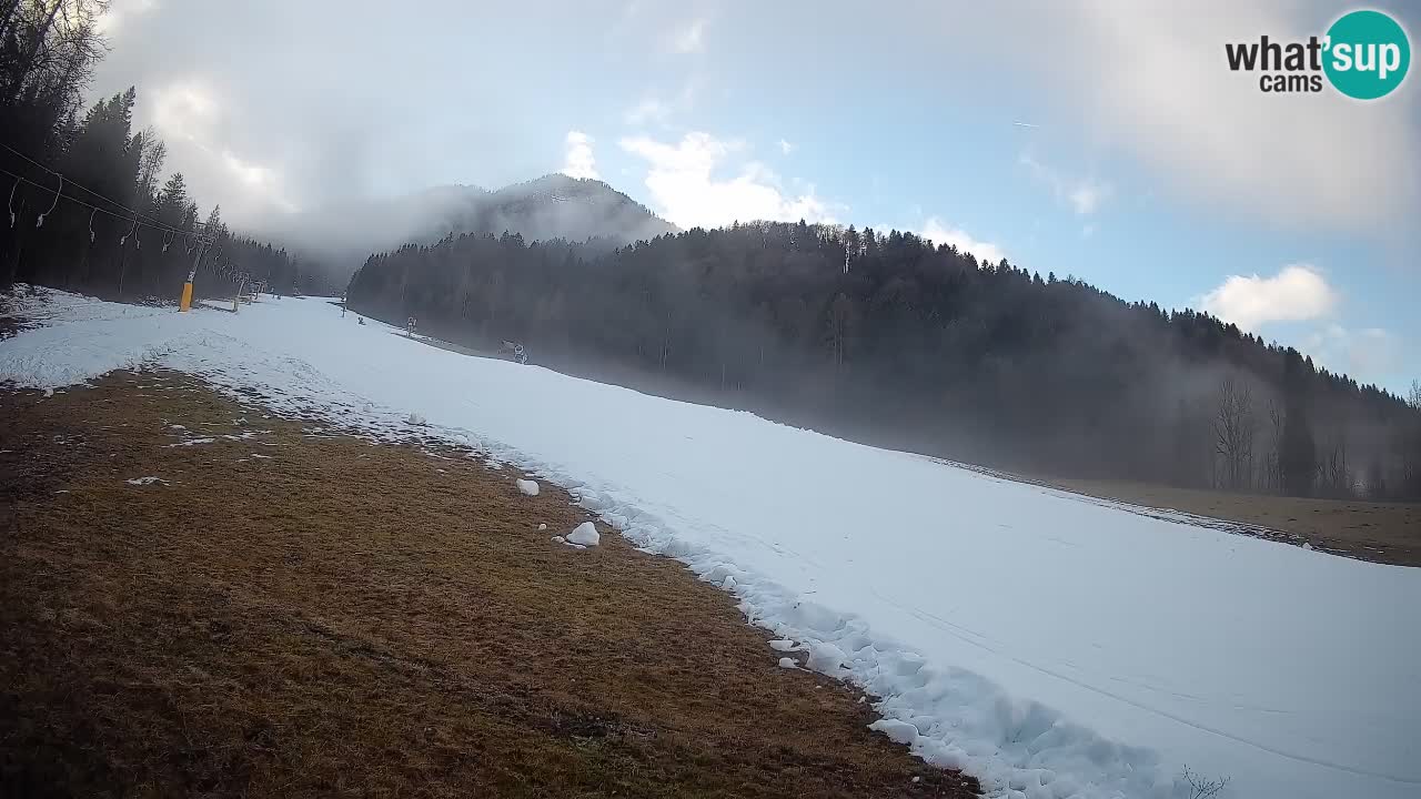 Ski Kranjska Gora | Brsnina