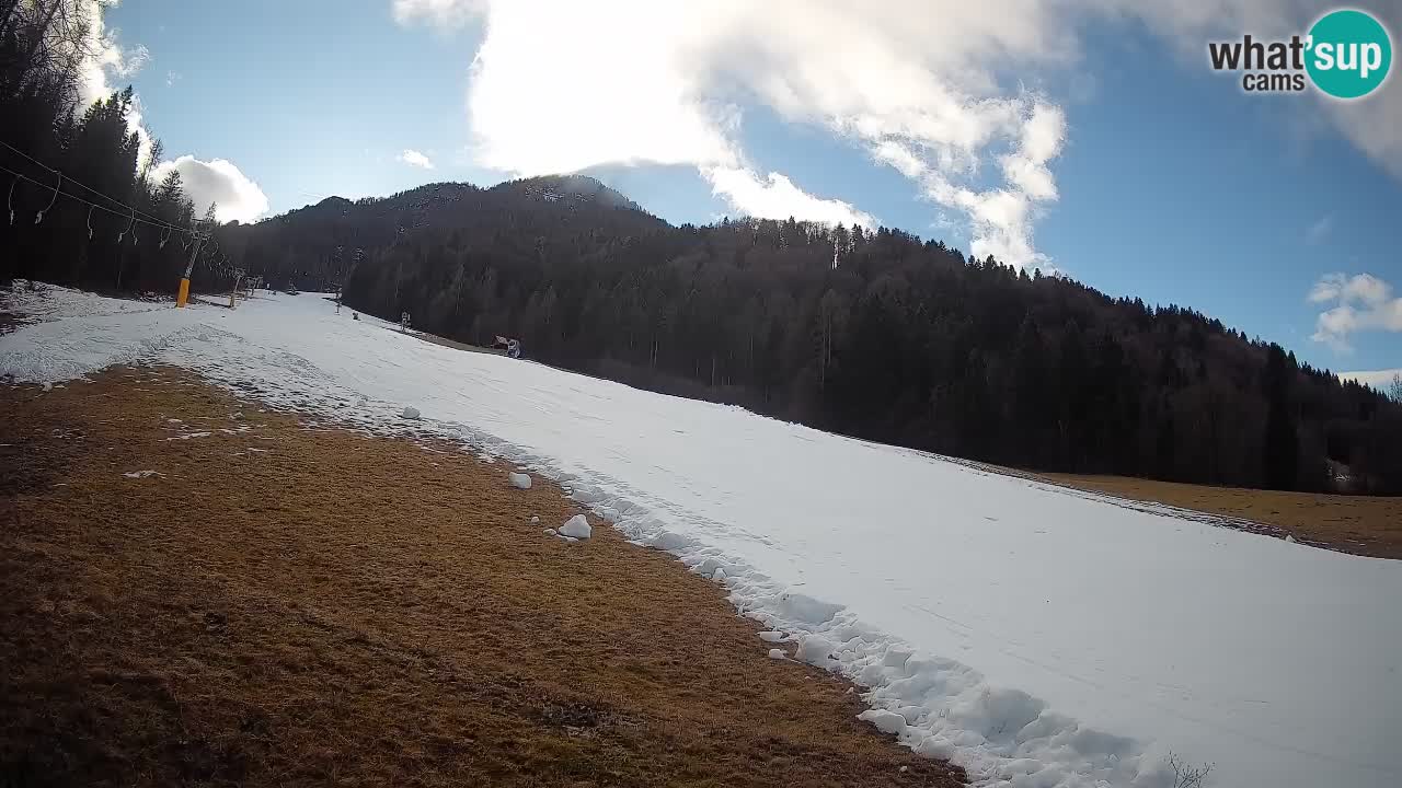 Ski Kranjska Gora | Brsnina