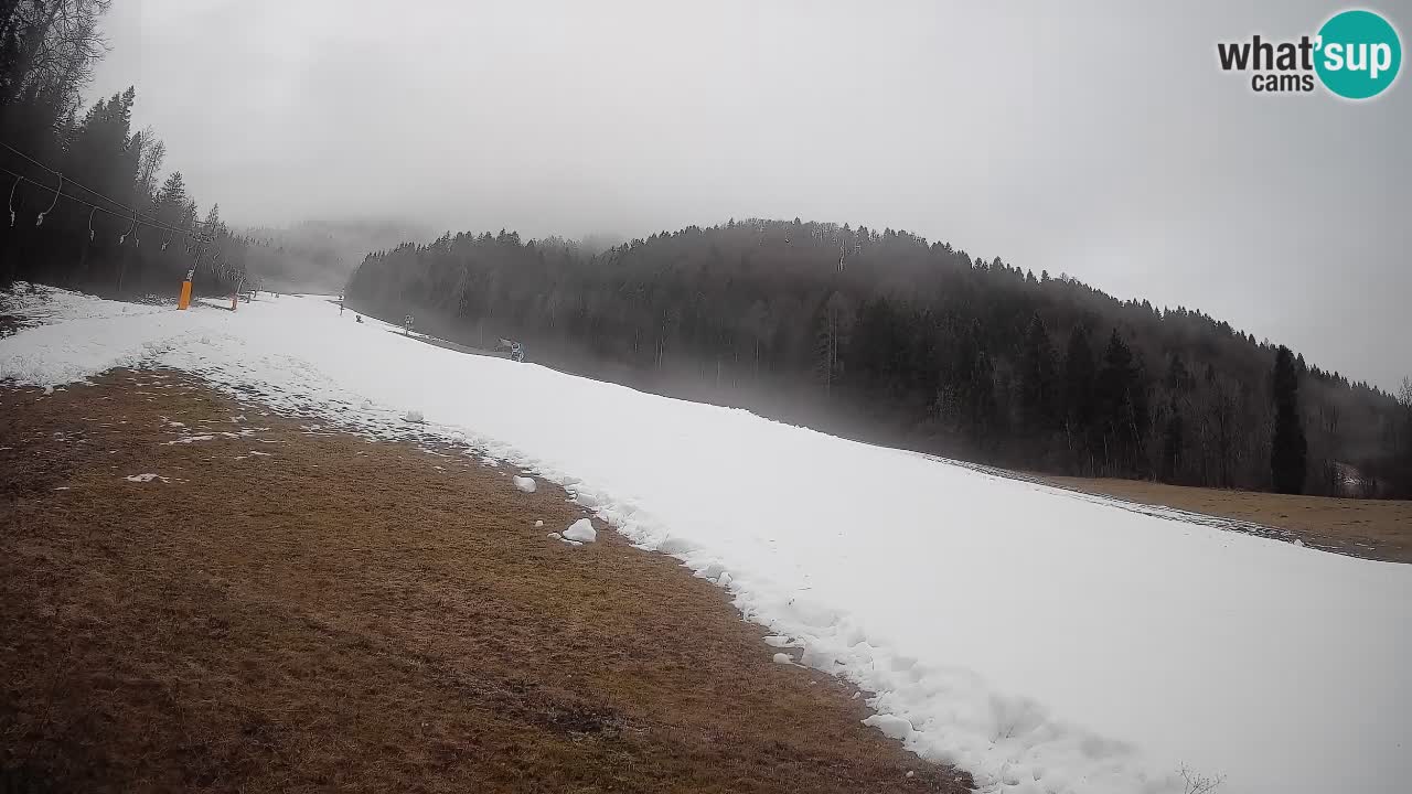 RTC Kranjska Gora | Brsnina