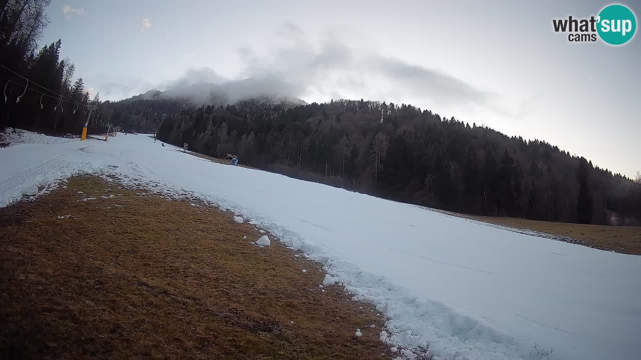 Kranjska Gora Station de ski | Brsnina
