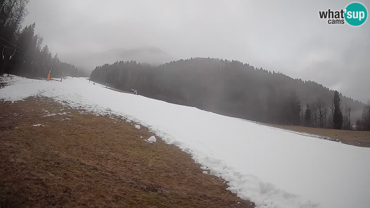 RTC Kranjska Gora | Brsnina