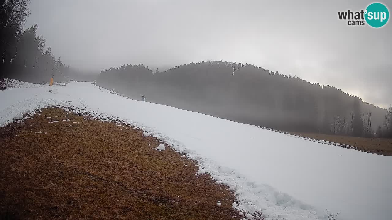 Ski Kranjska Gora | Brsnina