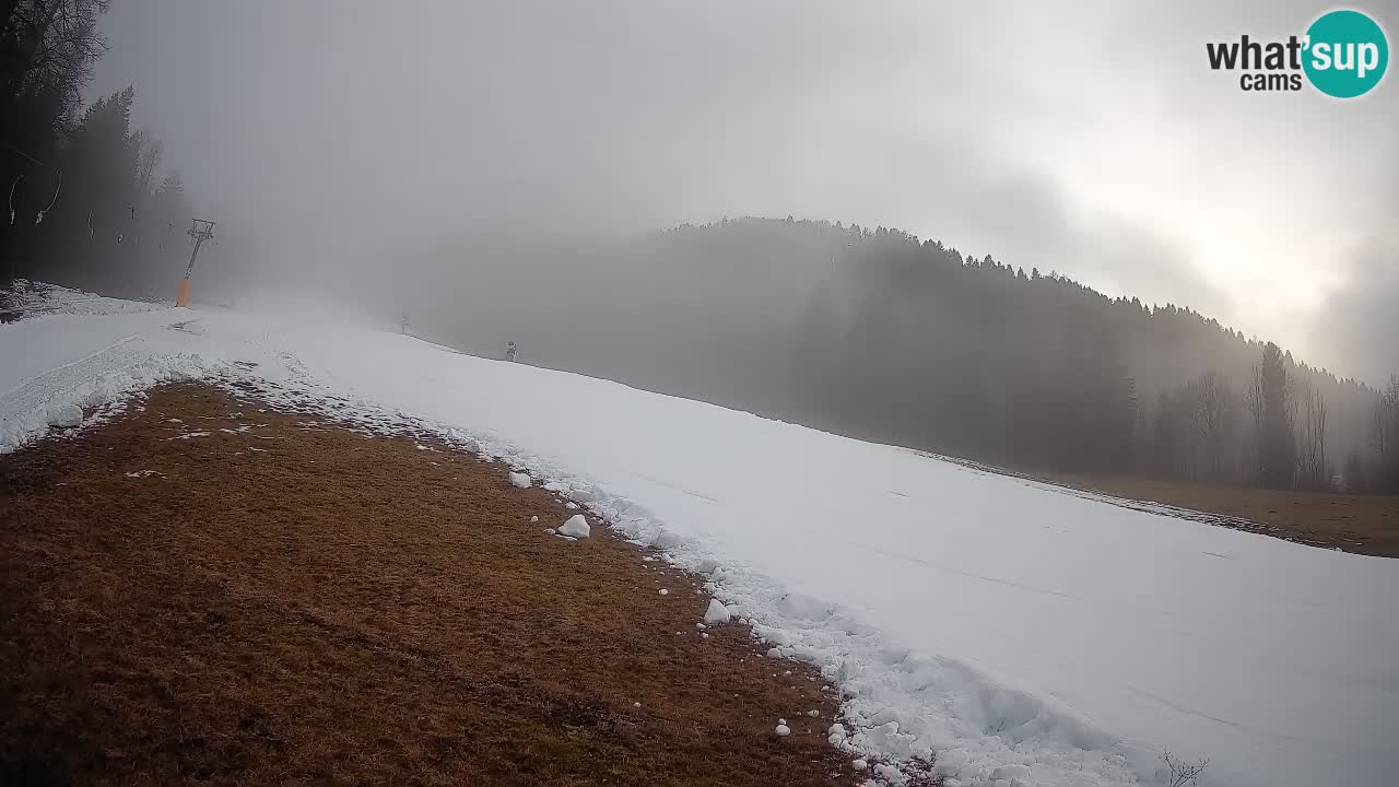 RTC Skigebiet Kranjska Gora | Brsnina