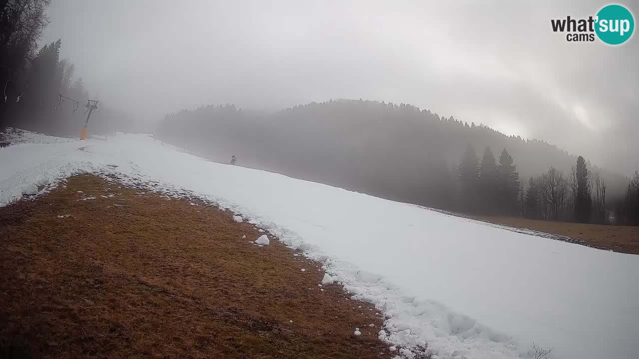 RTC Skigebiet Kranjska Gora | Brsnina