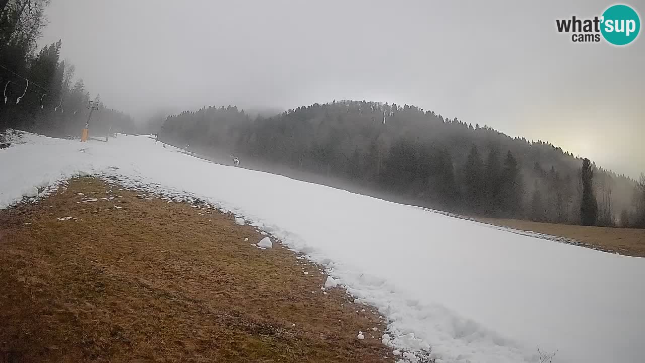 Kranjska Gora Station de ski | Brsnina