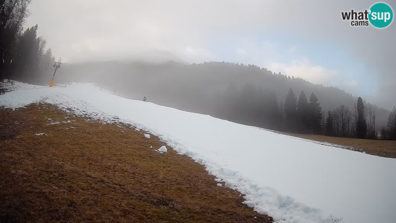 Comprensorio sciistico Kranjska Gora | Brsnina