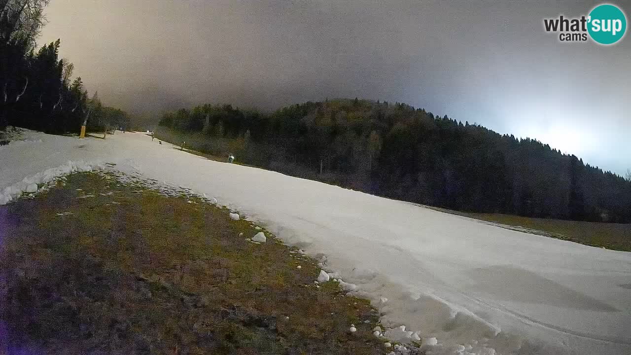 Esquí Kranjska Gora | Brsnina