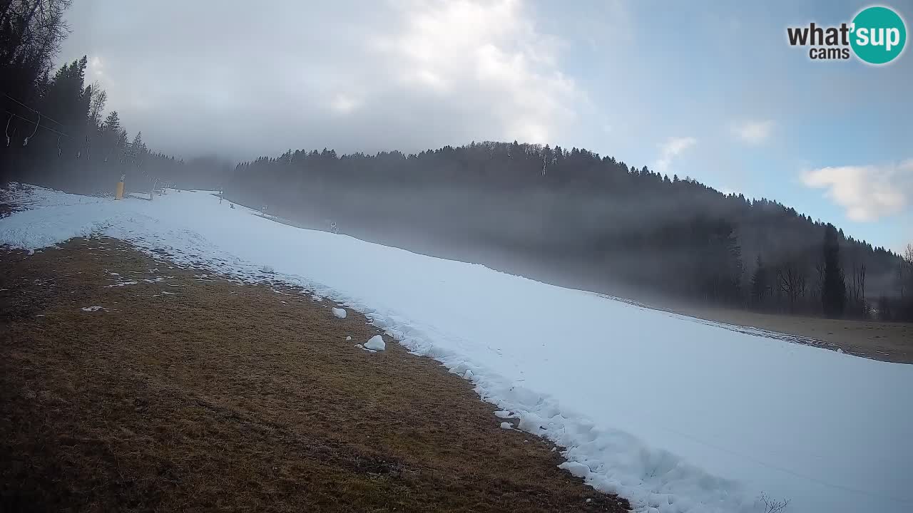 Ski Kranjska Gora | Brsnina