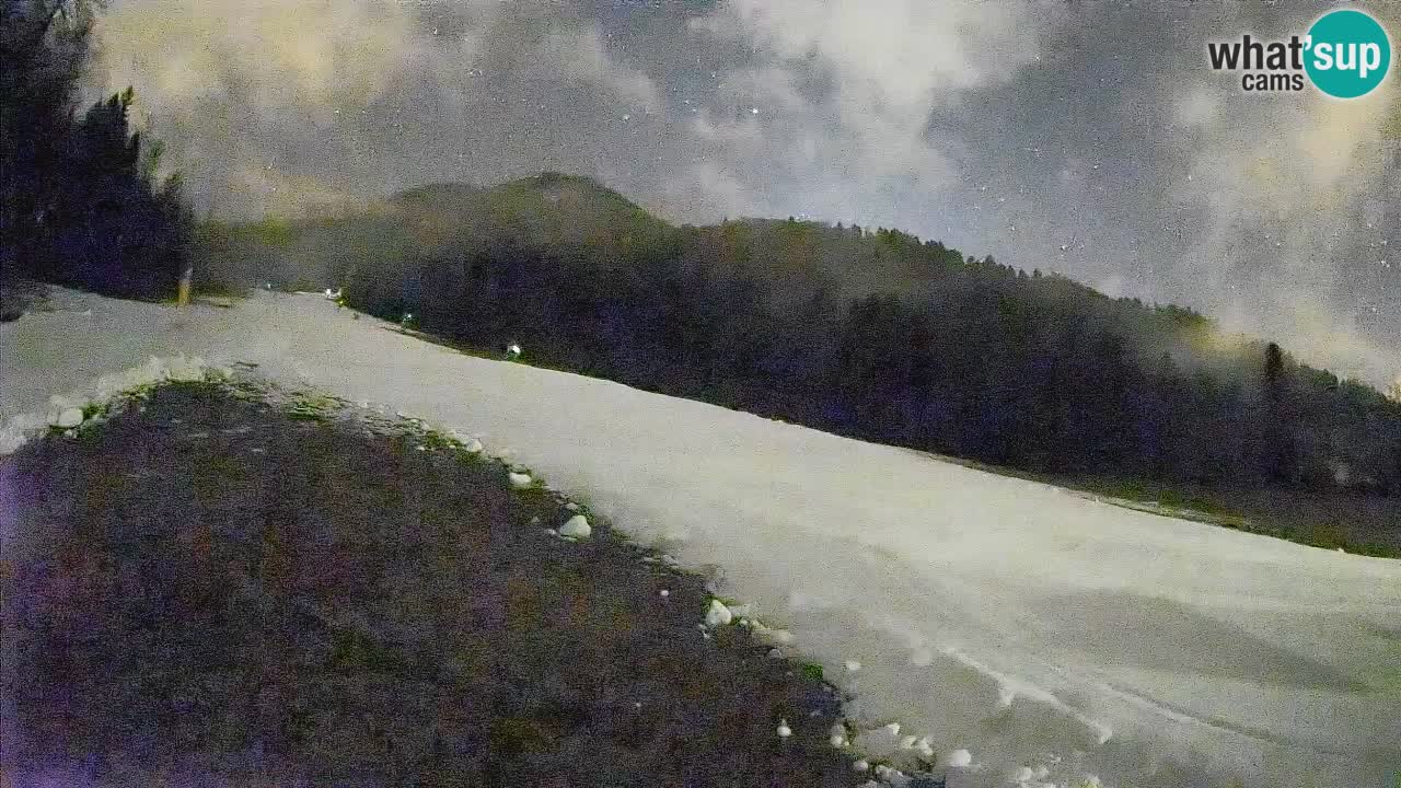 Kranjska Gora Station de ski | Brsnina