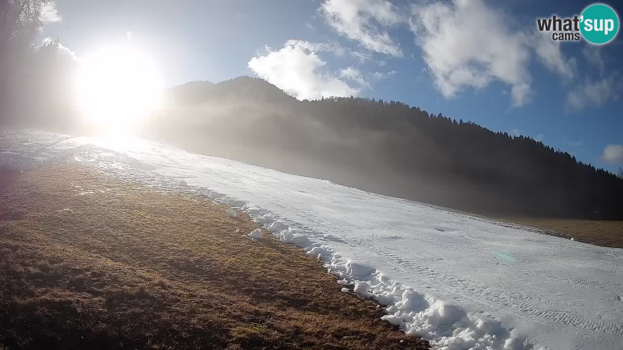 Esquí Kranjska Gora | Brsnina