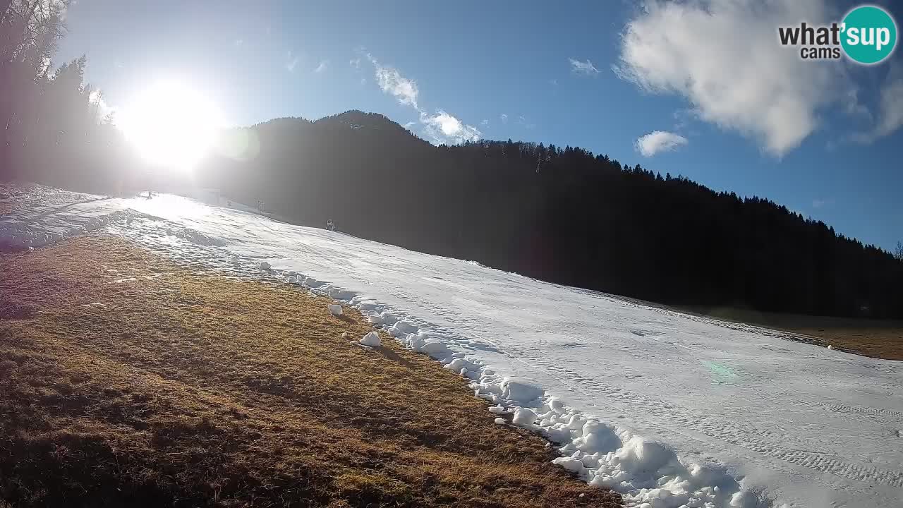 Ski Kranjska Gora | Brsnina