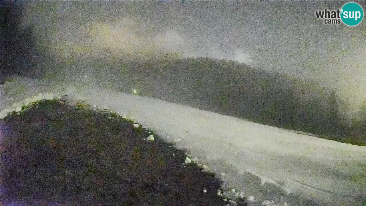 Esquí Kranjska Gora | Brsnina