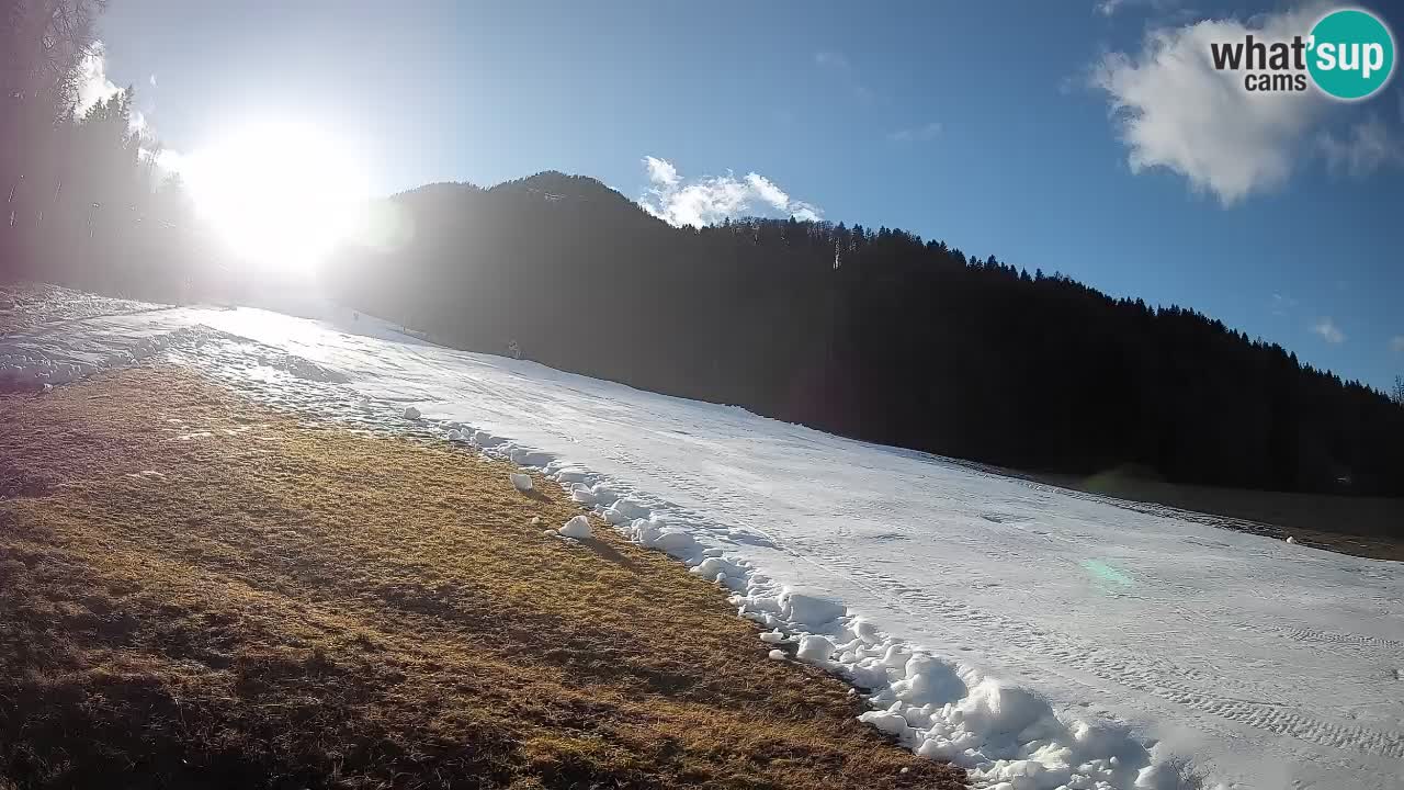 RTC Skigebiet Kranjska Gora | Brsnina