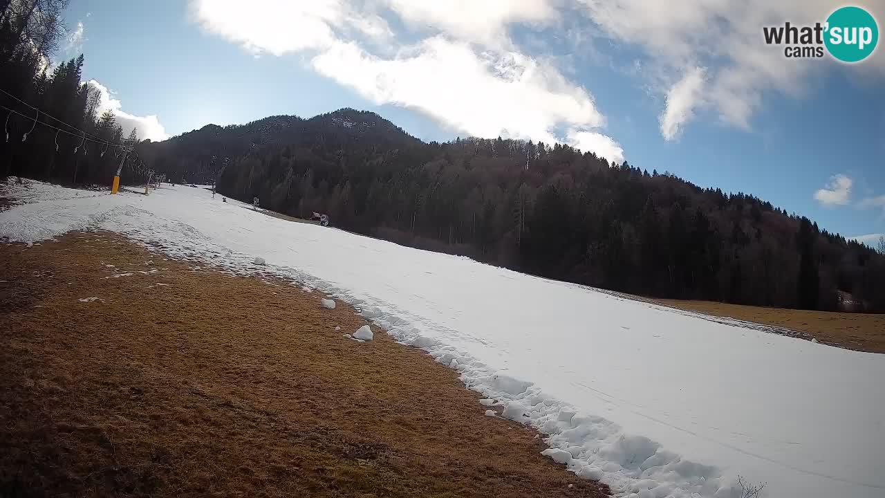 Comprensorio sciistico Kranjska Gora | Brsnina