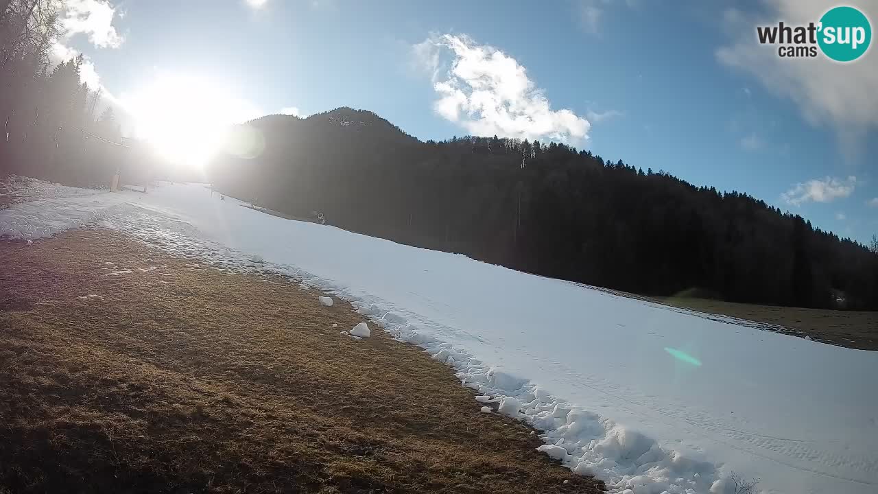 Comprensorio sciistico Kranjska Gora | Brsnina