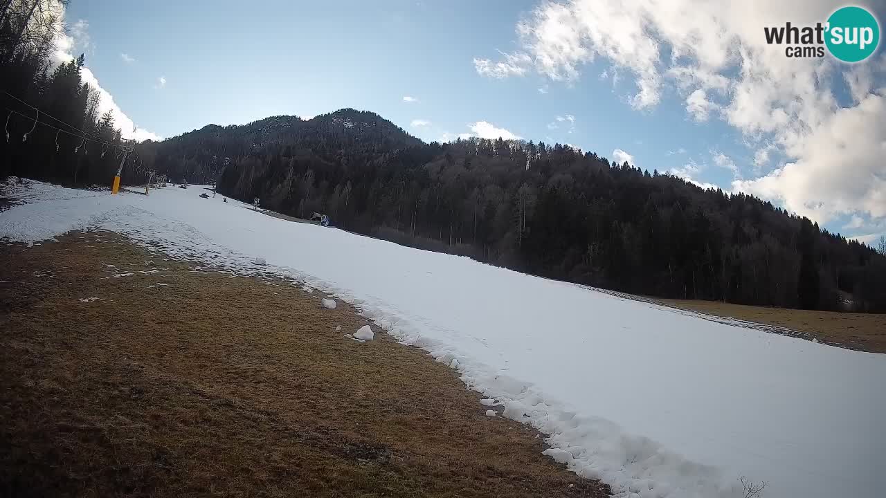 Comprensorio sciistico Kranjska Gora | Brsnina