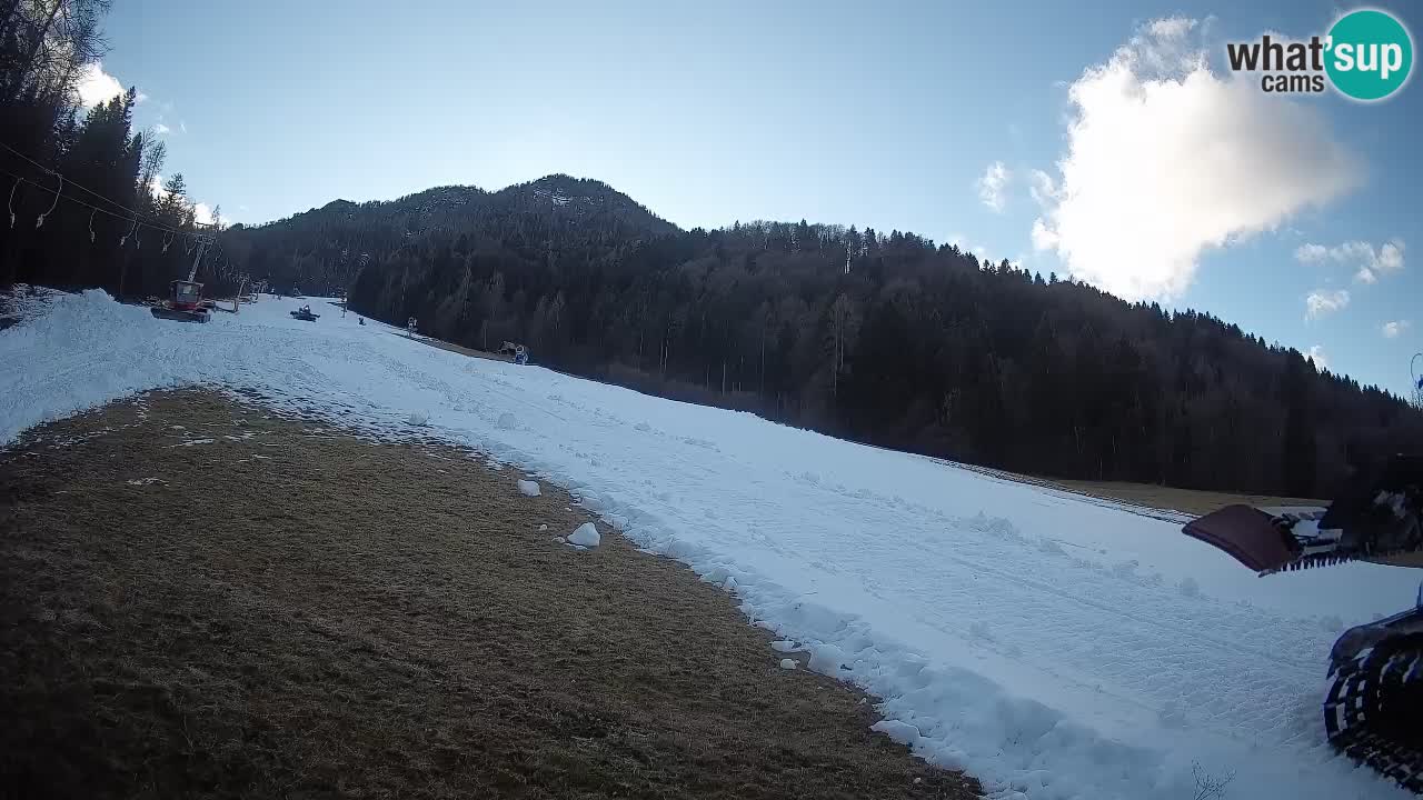 Ski Kranjska Gora | Brsnina
