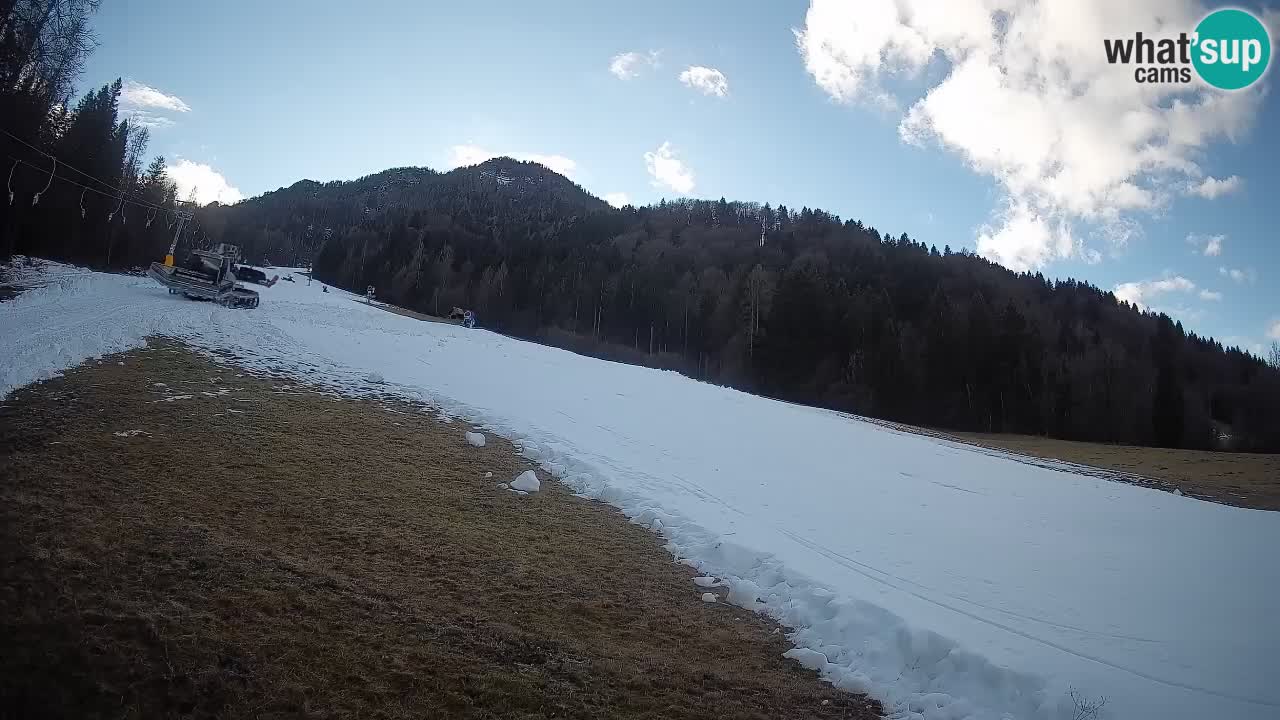 RTC Kranjska Gora | Brsnina