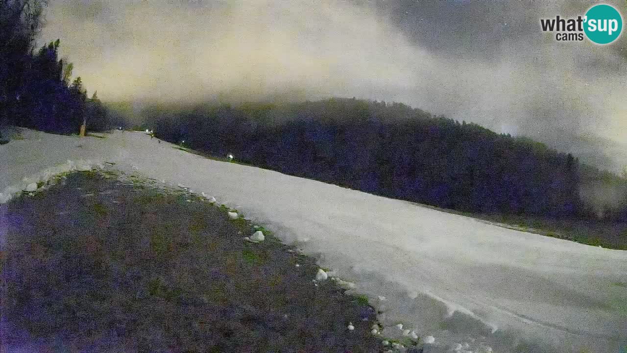 Esquí Kranjska Gora | Brsnina