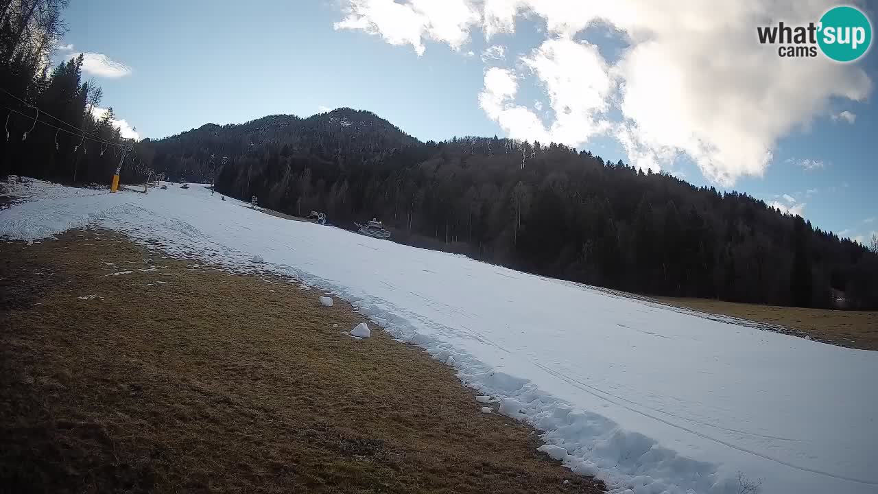 Ski Kranjska Gora | Brsnina