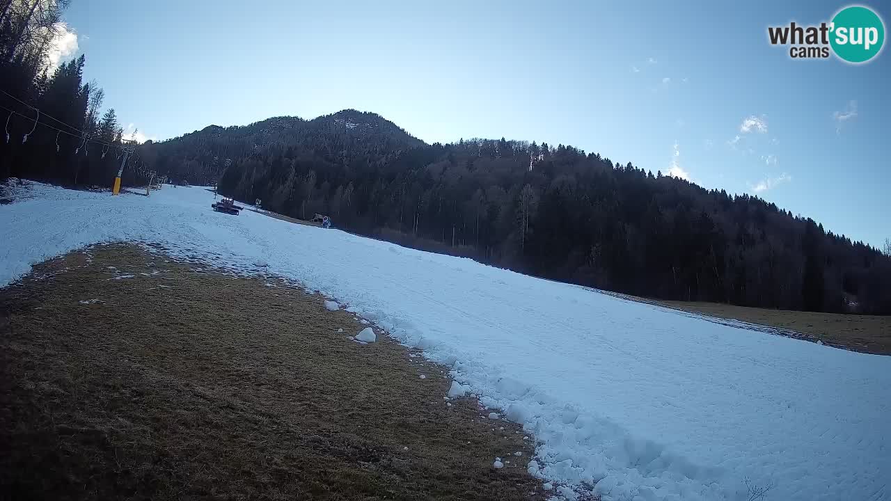 RTC Kranjska Gora | Brsnina