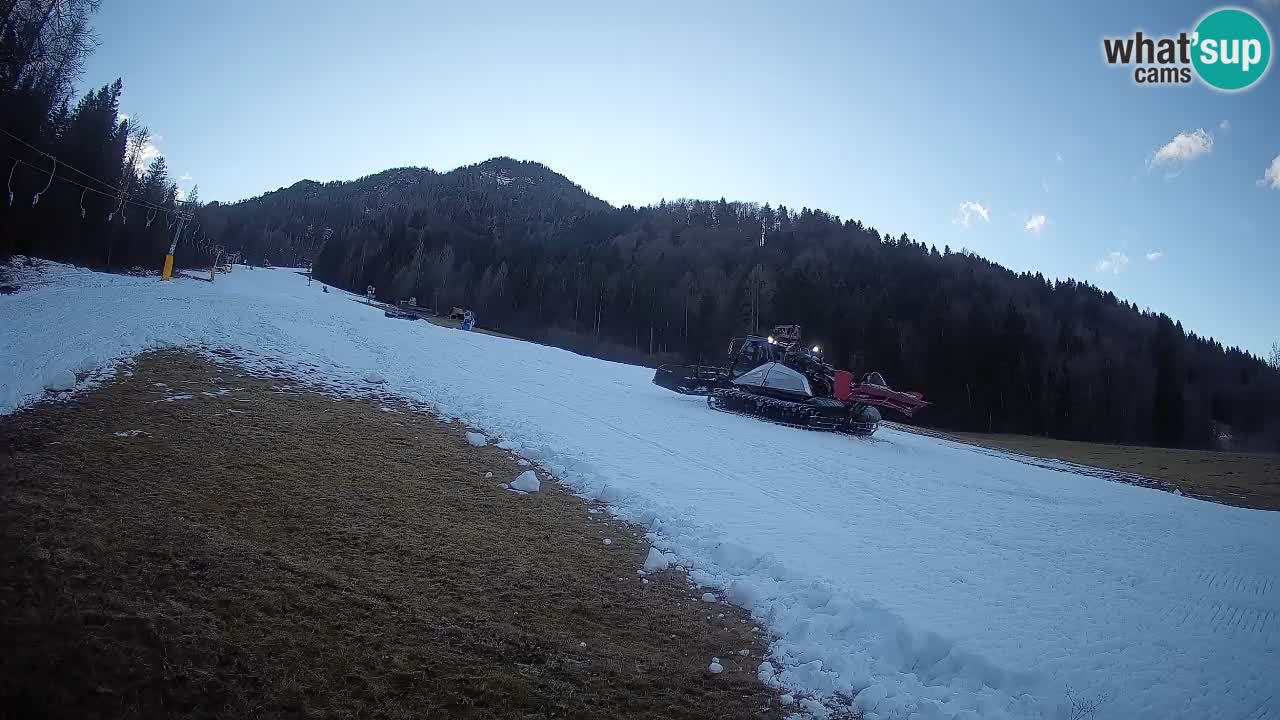 RTC Skigebiet Kranjska Gora | Brsnina