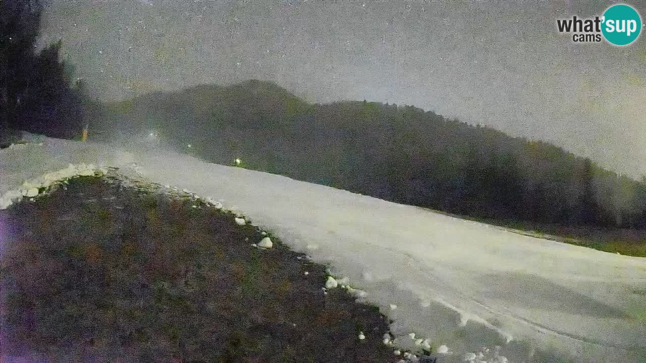 Ski Kranjska Gora | Brsnina