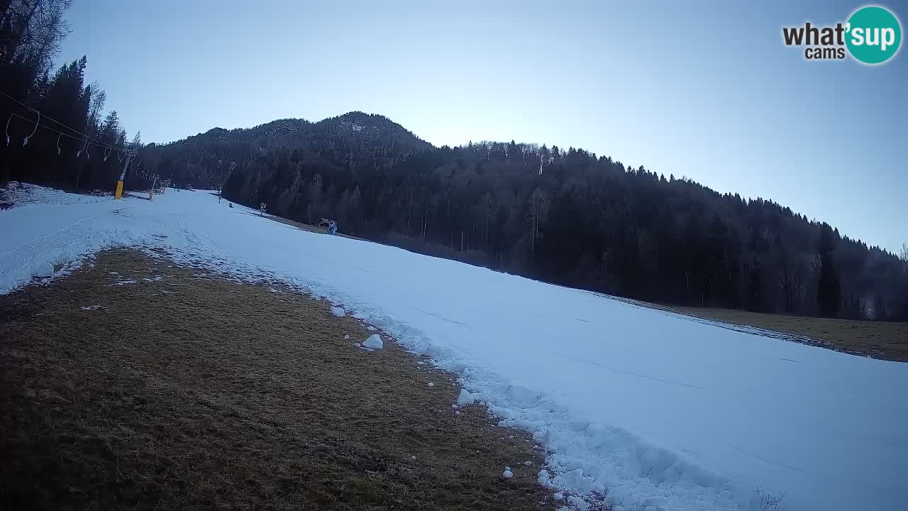 Kranjska Gora SKIJANJE | Brsnina