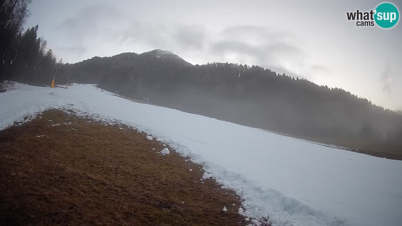 Ski Kranjska Gora | Brsnina