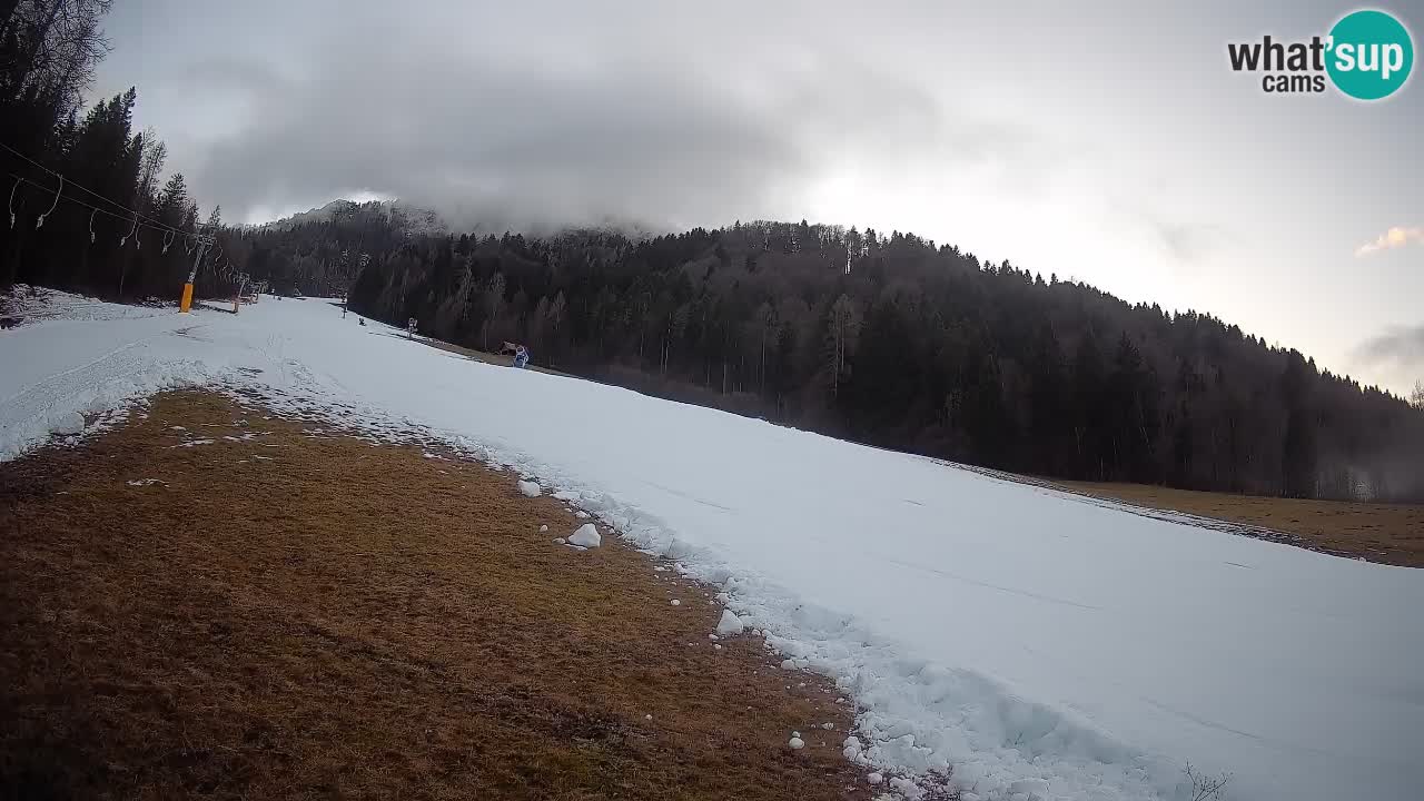 Kranjska Gora Station de ski | Brsnina