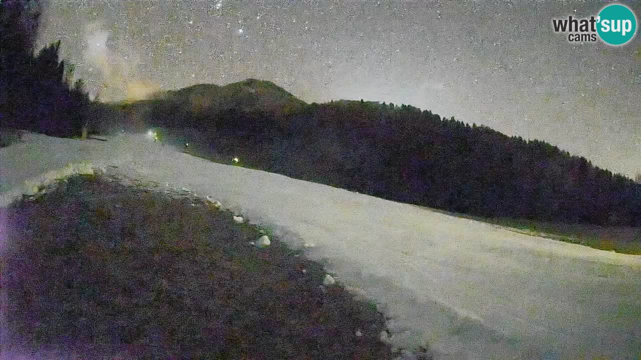 Ski Kranjska Gora | Brsnina