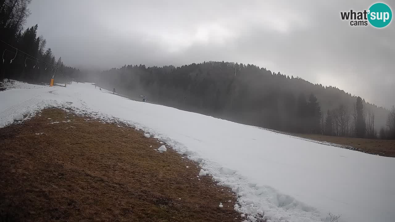 Esquí Kranjska Gora | Brsnina