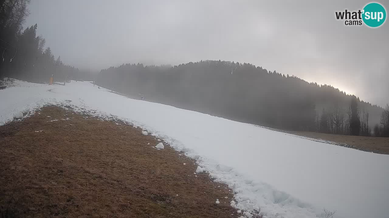 Kranjska Gora Station de ski | Brsnina
