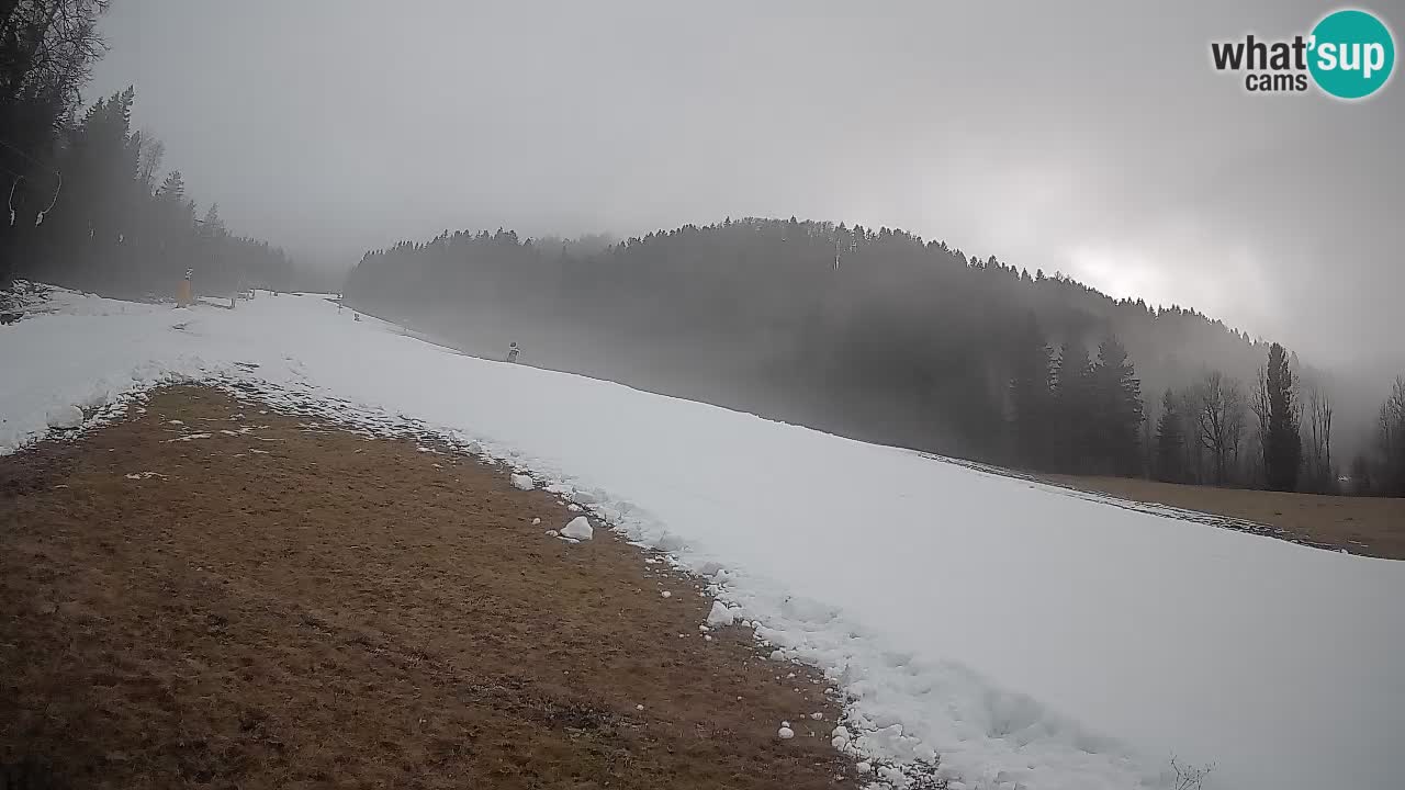 Kranjska Gora SKIJANJE | Brsnina