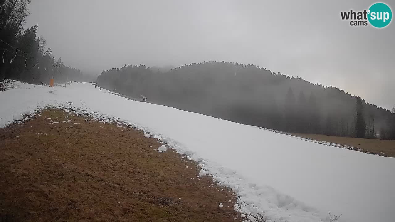 Kranjska Gora SKIJANJE | Brsnina