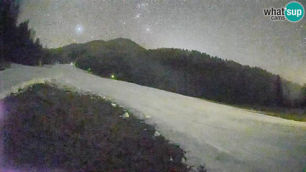 Kranjska Gora Station de ski | Brsnina